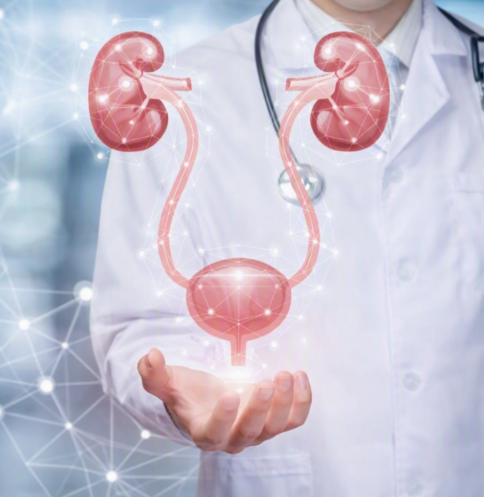 Urología Adulto y pediatrico
